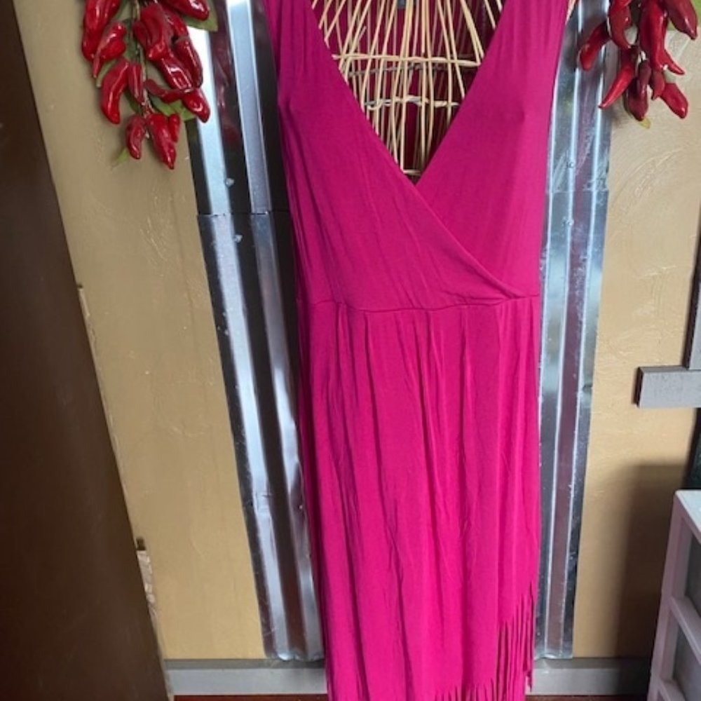 Kate and Mallory Fringe Dress